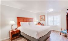1 King Bed