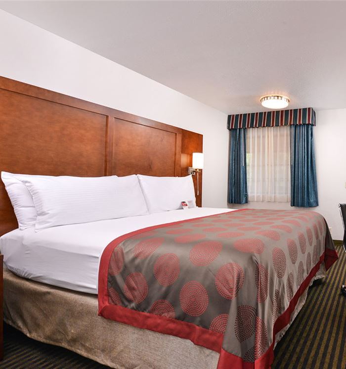 King Bed Room at Mountain View, California Hotel