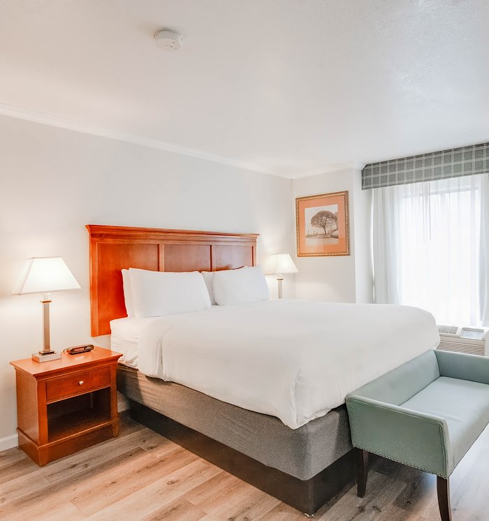 King Bed Room at Mountain View, California Hotel